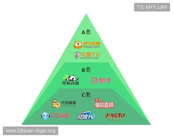 南宫体育平台与其他体育直播平台的比较分析：优势、劣势及用户选择建议
