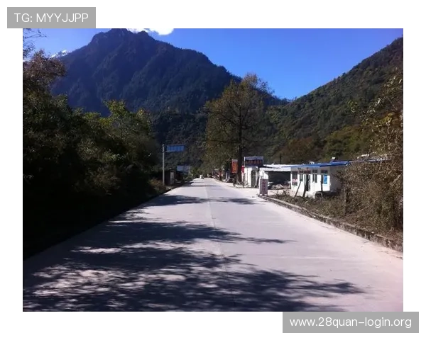 二八扑克牌赢钱技巧全攻略,教你如何在游戏中稳操胜券实现盈利